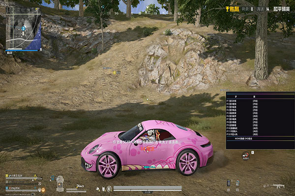 辅助软件透视功能展示